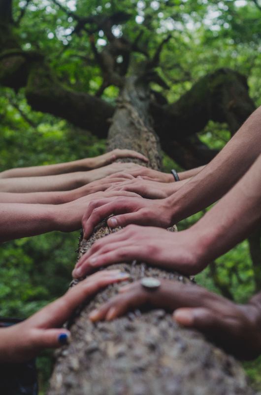 Many hands on a tree